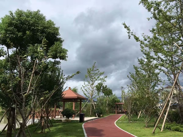 1550895898539231.jpg 111.jpg