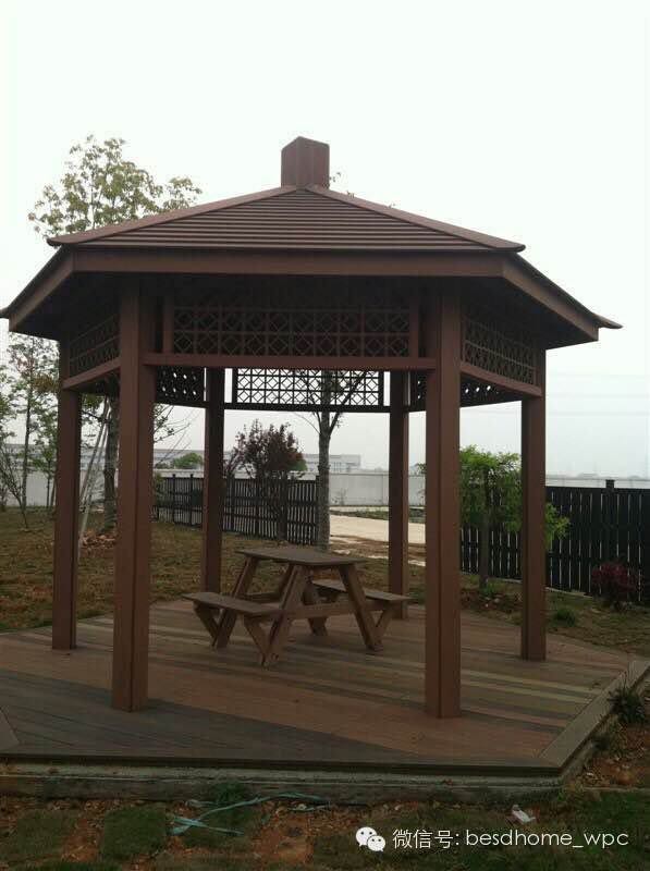 1554279127738253.jpeg 11.jpeg